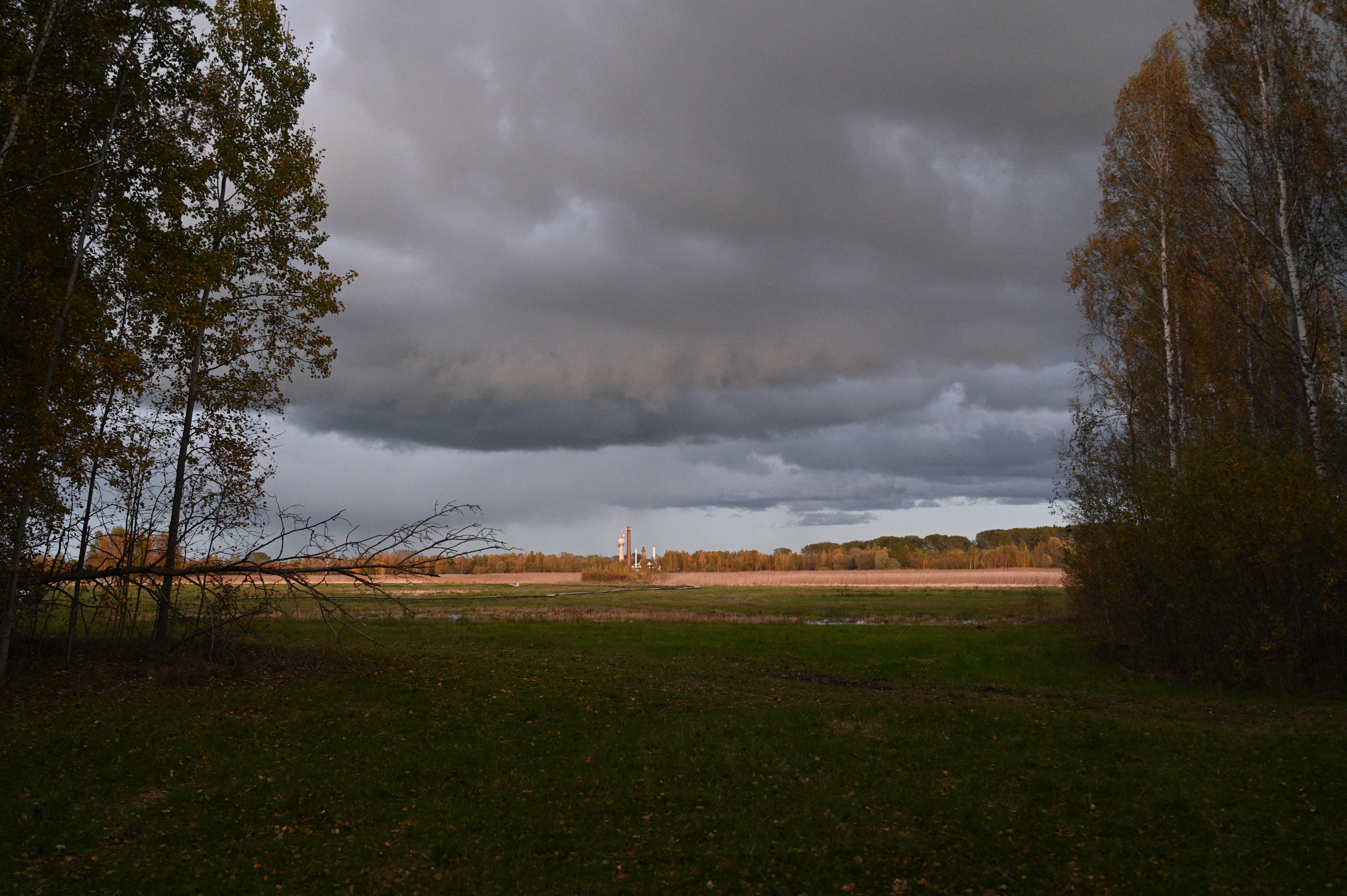 2025/10/18 - walk/DSC_0589.JPG